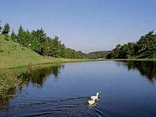 堺カントリークラブ【アコーディア・ゴルフ】