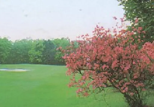 小山ゴルフクラブ